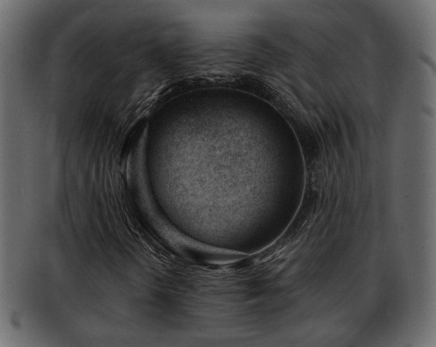 X0000092271298200710041345