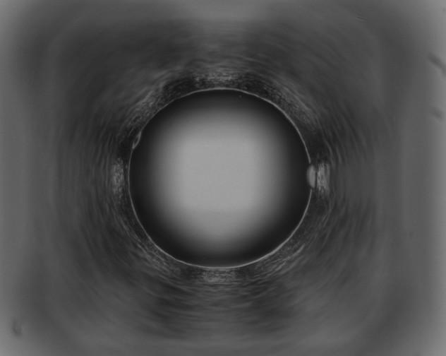 X0000092271299200710041345