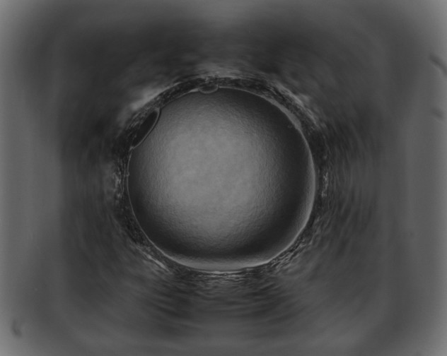 X0000092271303200710041345
