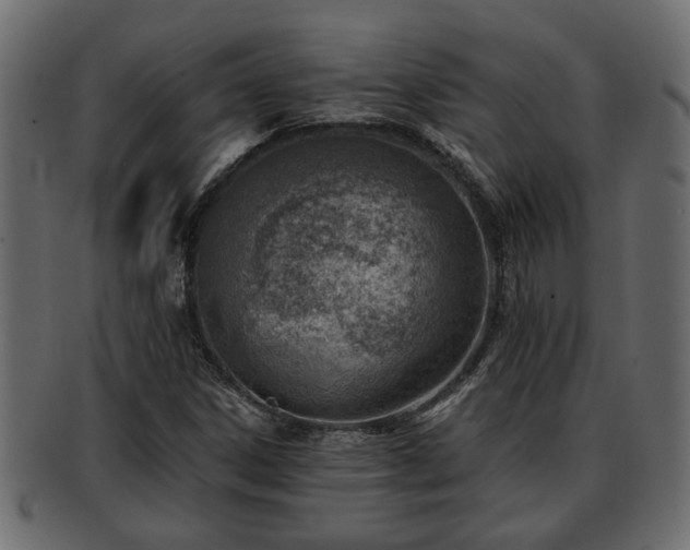X0000092271306200710041345