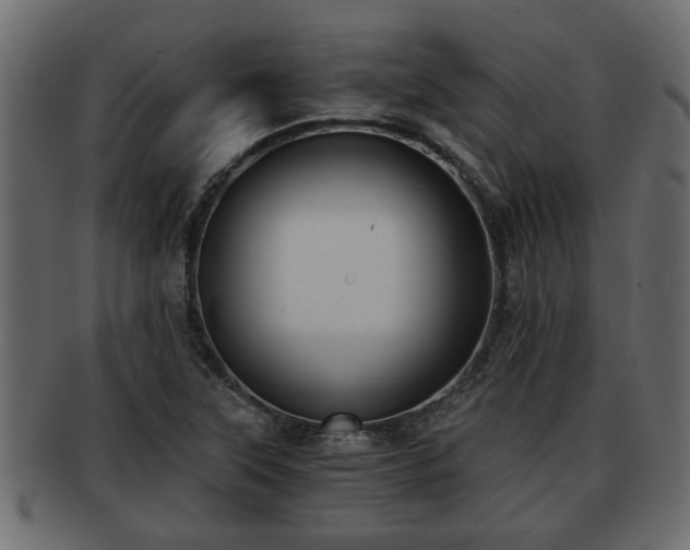 X0000092271315200710041345