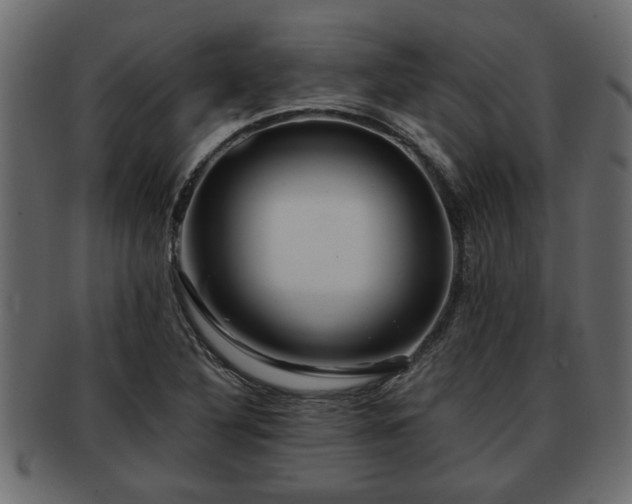 X0000092271316200710041345