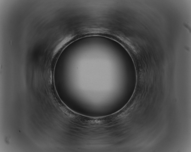 X0000092271317200710041345