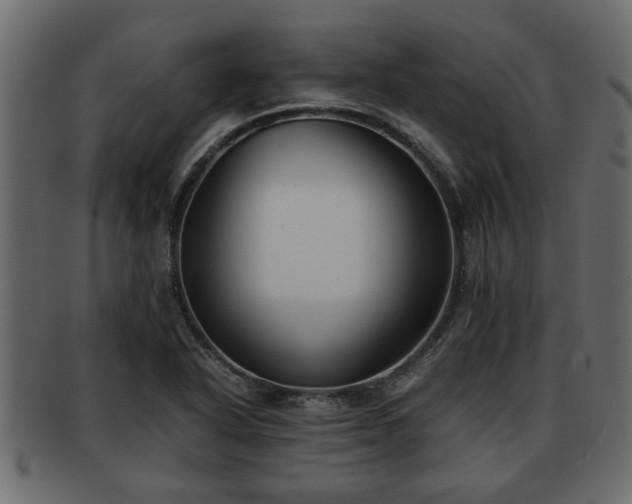 X0000092271318200710041345