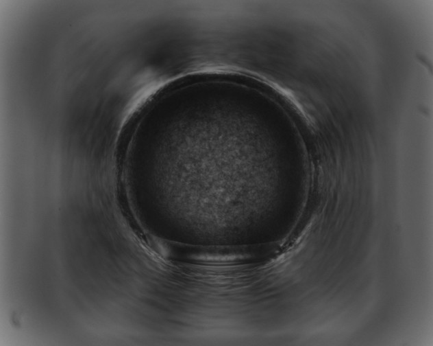 X0000092271319200710041345