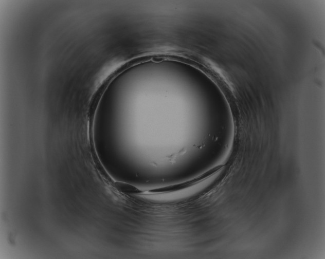 X0000092271320200710041345