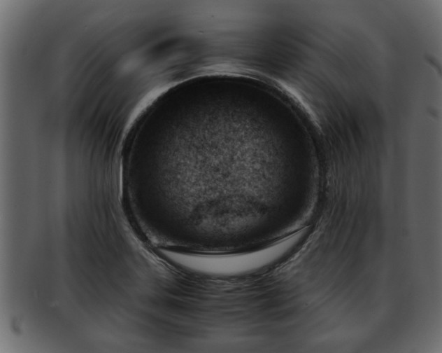 X0000092271323200710041345