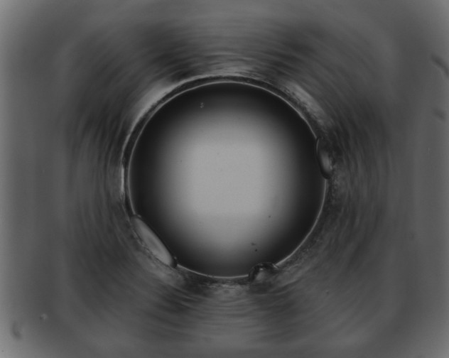 X0000092271324200710041345