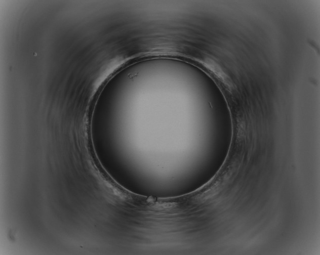 X0000092271325200710041345