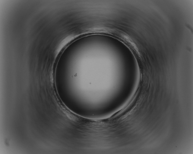 X0000092271328200710041345