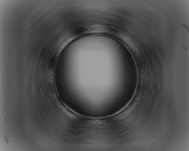 X0000092271329200710041345