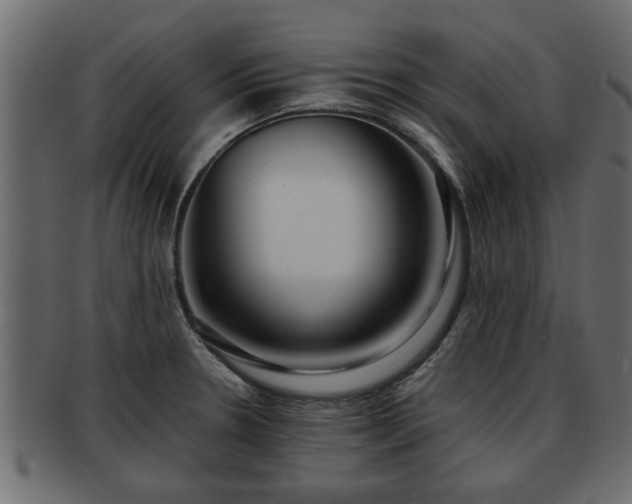 X0000092271330200710041345