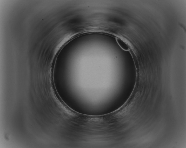 X0000092271333200710041345