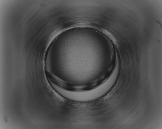 X0000092271334200710041345
