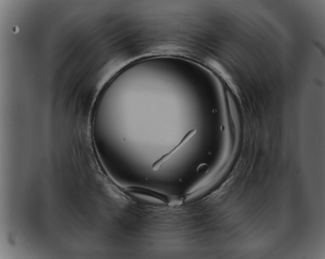 X0000092271336200710041346