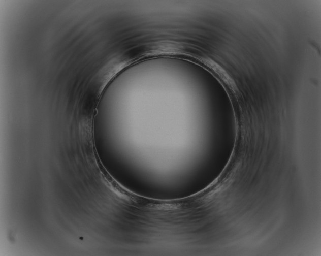 X0000092271337200710041346