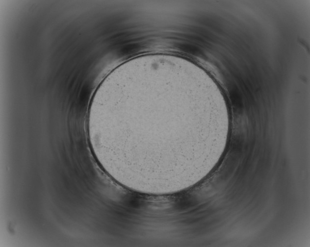 X0000092271338200710041346