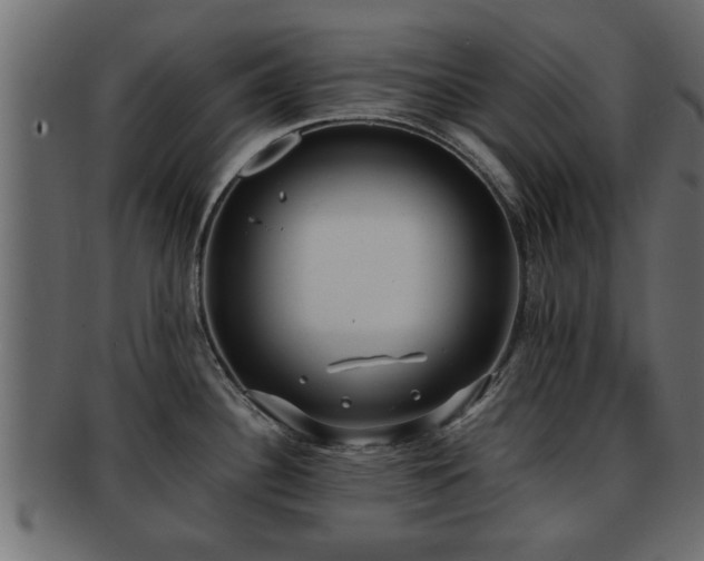 X0000092271340200710041346