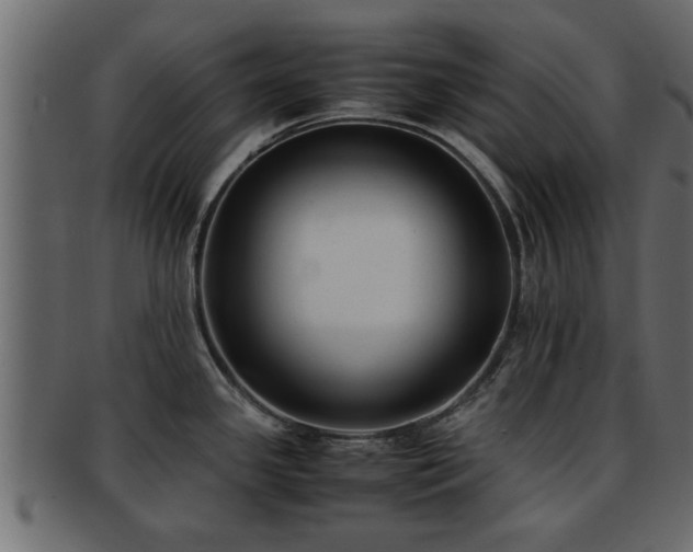 X0000092271341200710041346