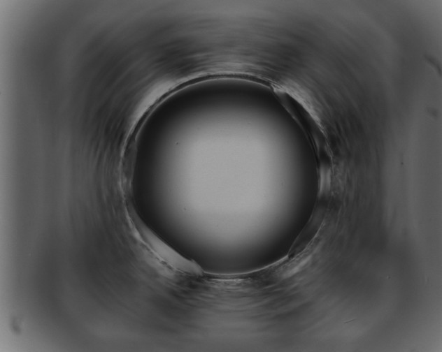 X0000092271342200710041346