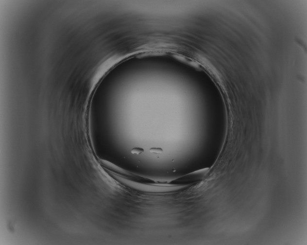 X0000092271344200710041346