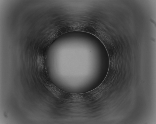 X0000092271346200710041345