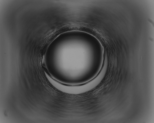 X0000092271348200710041345