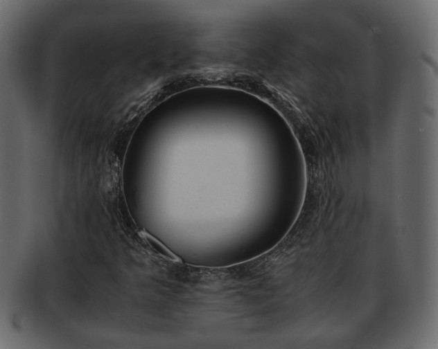X0000092271349200710041345