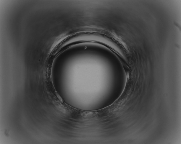 X0000092271352200710041345