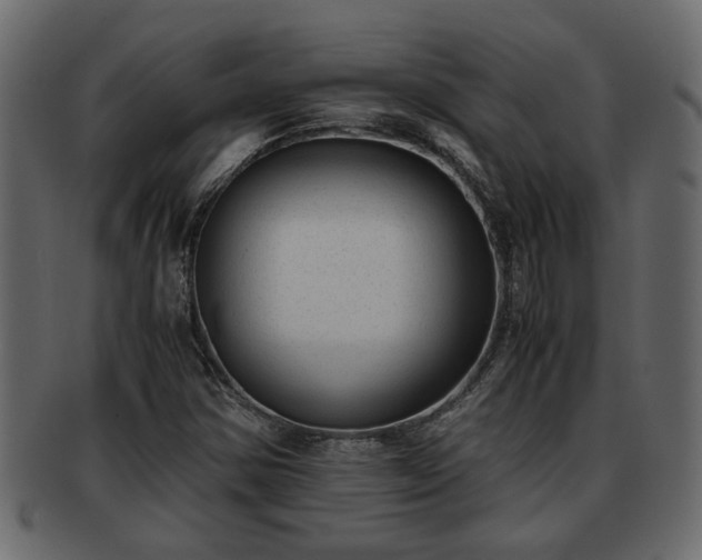 X0000092271354200710041345
