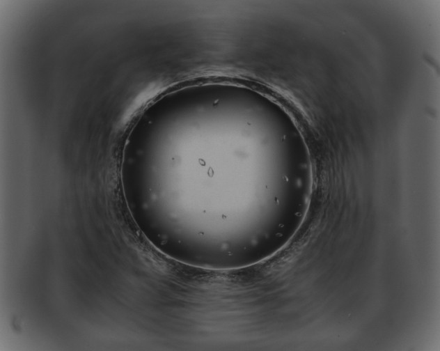 X0000092271359200710041345