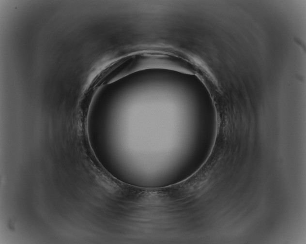 X0000092271360200710041345