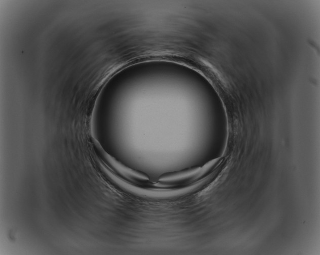X0000092271361200710041345
