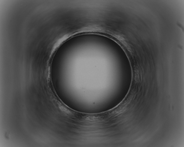 X0000092271366200710041345