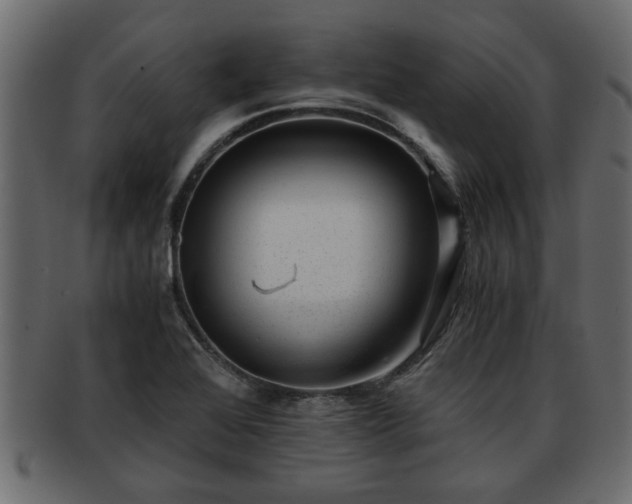 X0000092271368200710041345