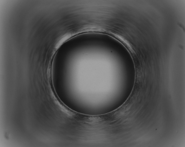 X0000092271383200710041345