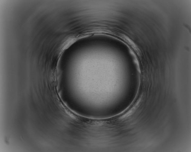 X0000092271385200710041345