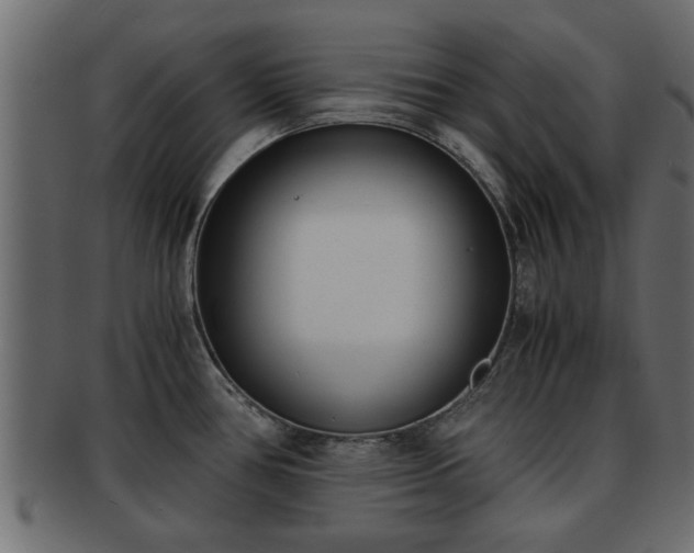 X0000092271386200710041345
