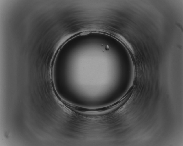 X0000092271388200710041345