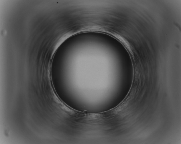 X0000092271390200710041345