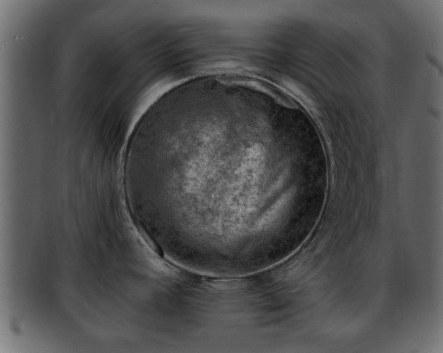 X0000092271392200710041344