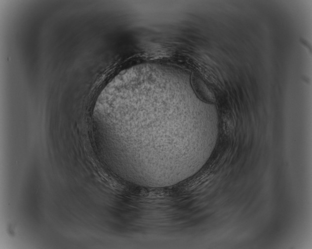X0000092271393200710041344