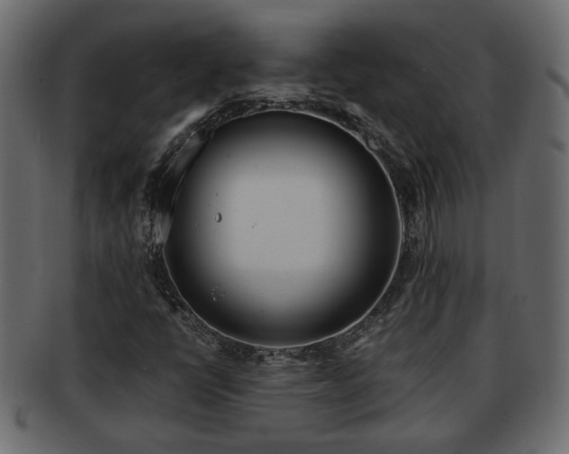 X0000092271398200710041344