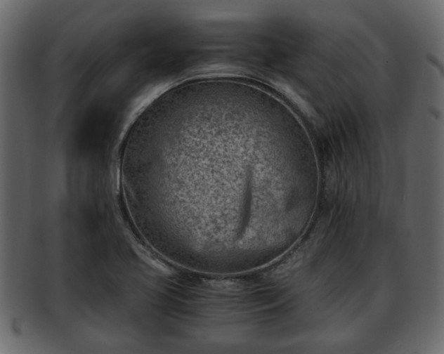 X0000092271413200710041344