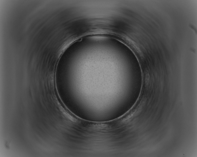 X0000092271417200710041344