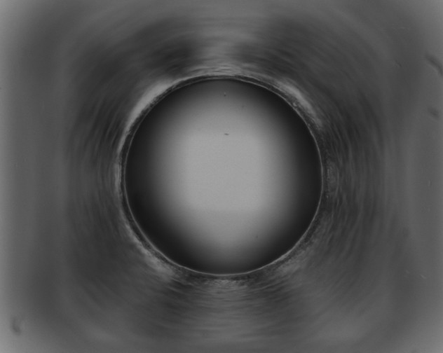 X0000092271424200710041344