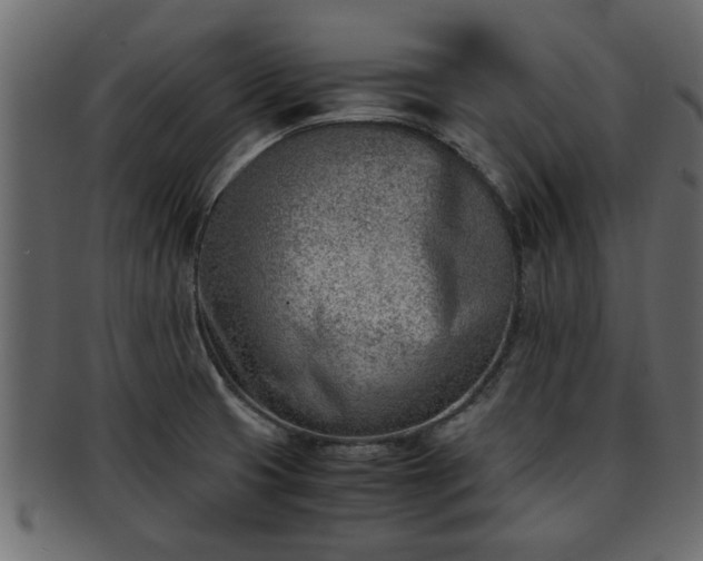 X0000092271425200710041344
