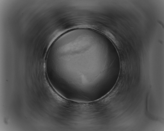 X0000092271428200710041344