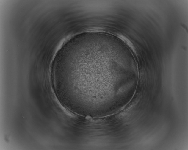 X0000092271429200710041344