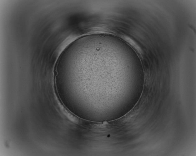 X0000092271431200710041344